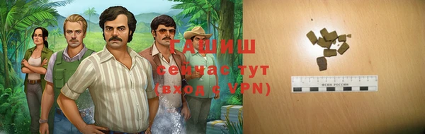 дмт Богородицк
