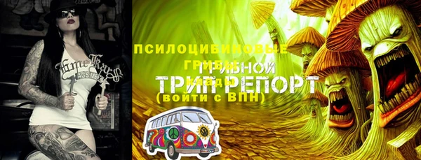 МДМА Богородск