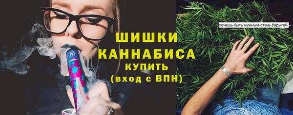 дмт Богородицк