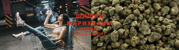 дмт Богородицк