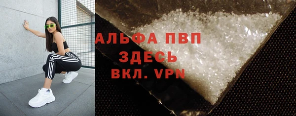 ГАЛЛЮЦИНОГЕННЫЕ ГРИБЫ Белокуриха
