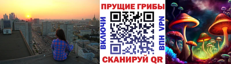мега как войти  даркнет сайт  Томск  Псилоцибиновые грибы MAGIC MUSHROOMS 