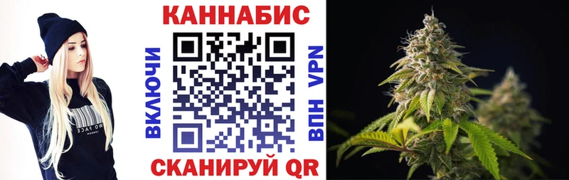 Бошки Шишки конопля Томск